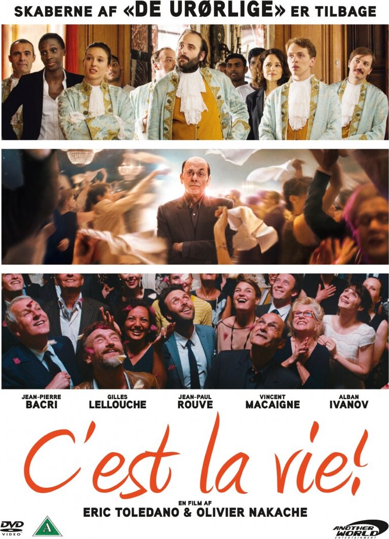 C'est La Vie - DVD - Film