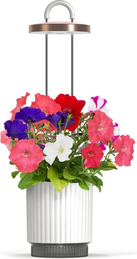 Click & Grow HydroVase Grow Fresh Plants Indoors All Year Round with LED Lighting and Self-Watering System - White
