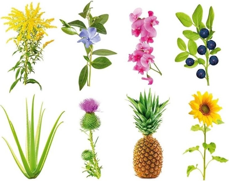 Click And Grow - Smart Garden Refill 3-pack - Experimental (sgr0x3)