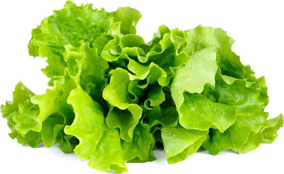 Click And Grow - Smart Garden Refill 3-pack - Green Lettuce (sgr32x3)