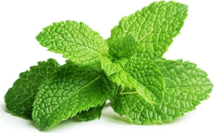 Click And Grow - Smart Garden Refill 3-pack - Peppermint (sgr22x3)