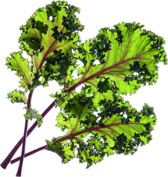 Click And Grow -  Smart Garden Refill 3-pack - Red Kale (sgr47x3)