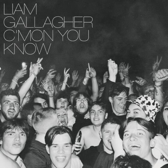 Liam Gallagher - C'mon You Know - Vinyl Lp