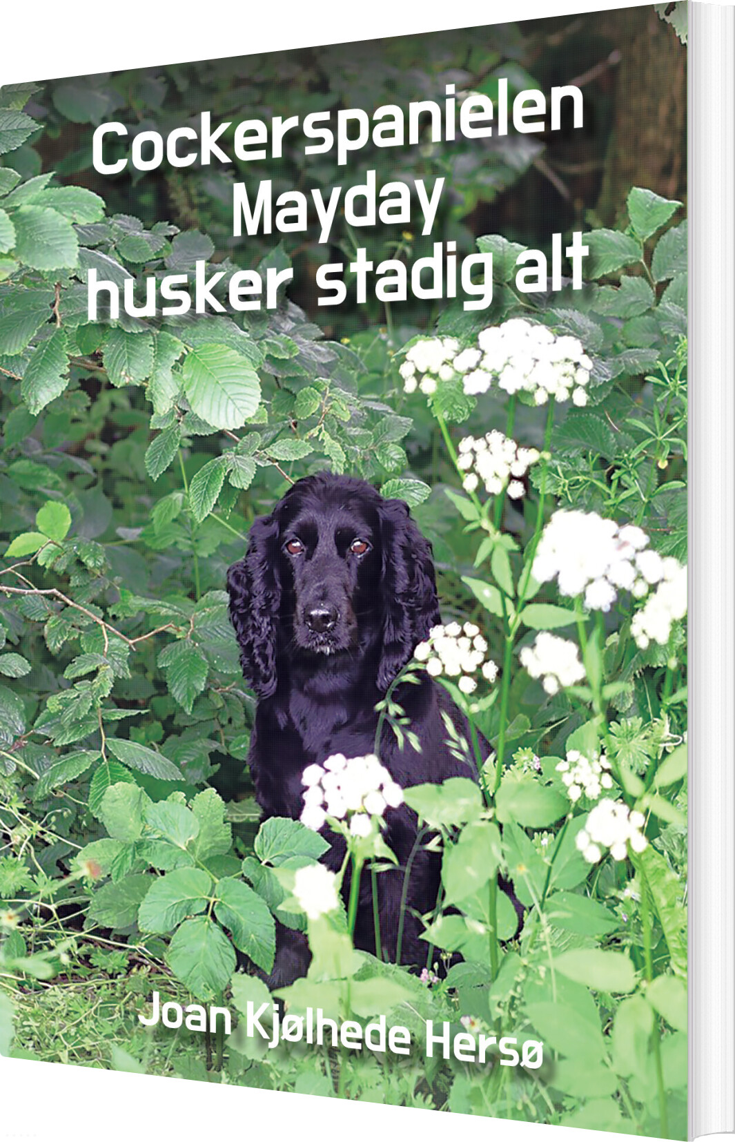 Cockerspanielen Mayday Husker Stadig Alt - Joan Kjølhede Hersø - Bog