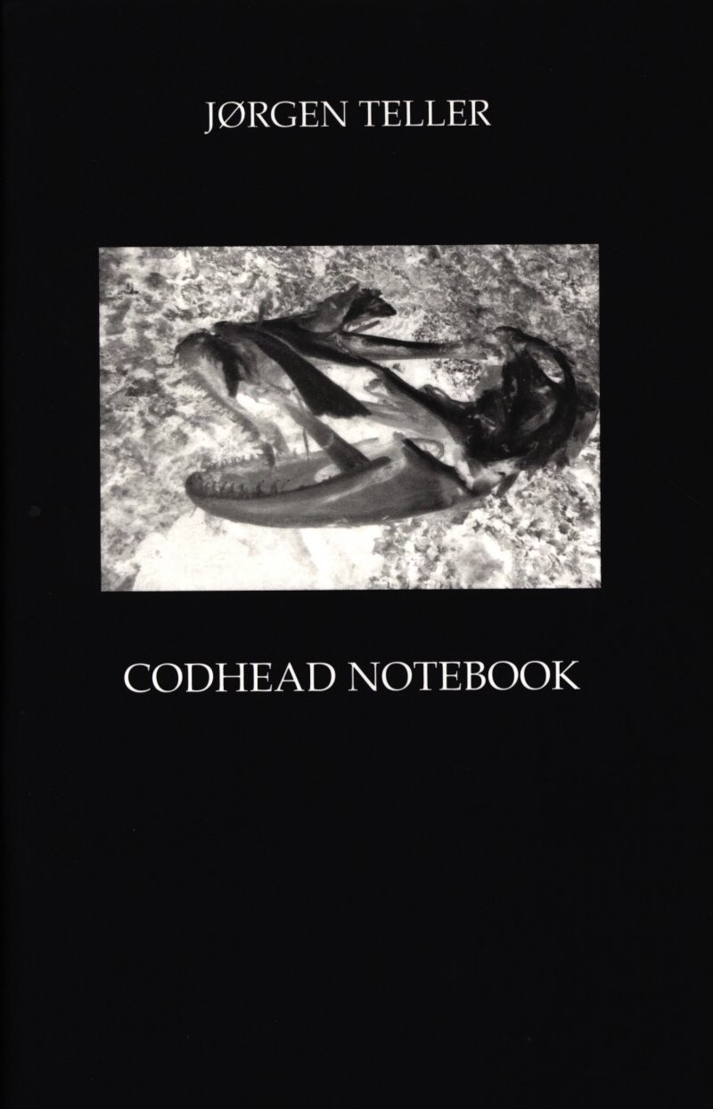 Billede af Codhead Notebook - Jørgen Teller - English Book