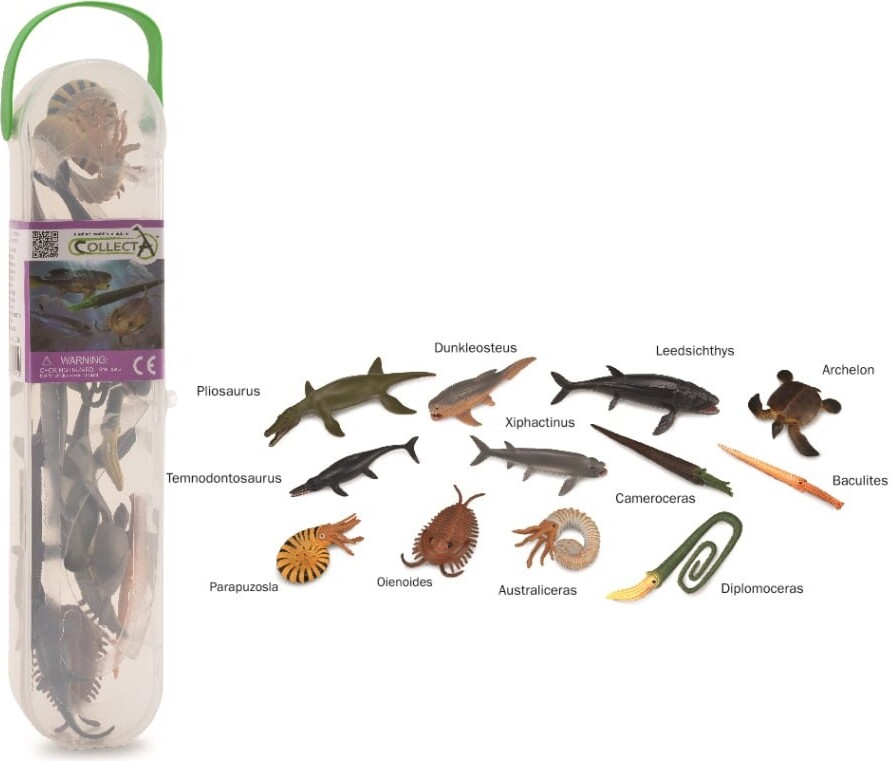 Collecta - Mini Prehistoric Marine Animals Giftset (col01104)