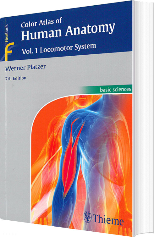 Billede af Color Atlas Of Human Anatomy Vol. 1: Locomotor System - Werner Platzer - English Book