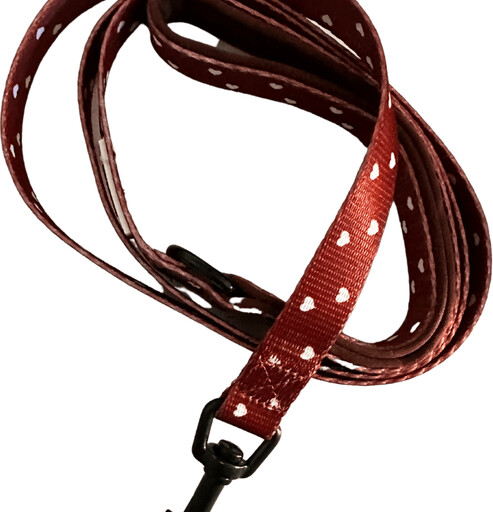 Hundesnor Med Hjerter - Confetti Dogs - 150 Cm