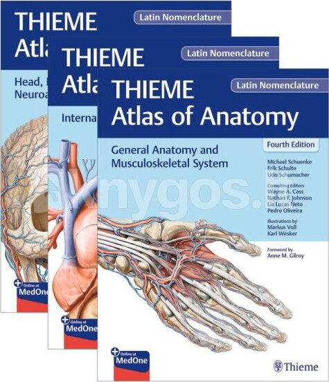 Thieme - Atlas Of Anatomy - Latin Nomenclature - Sæt Med 3 Bøger - 4. Udgave - Michael Schuenke - English Book
