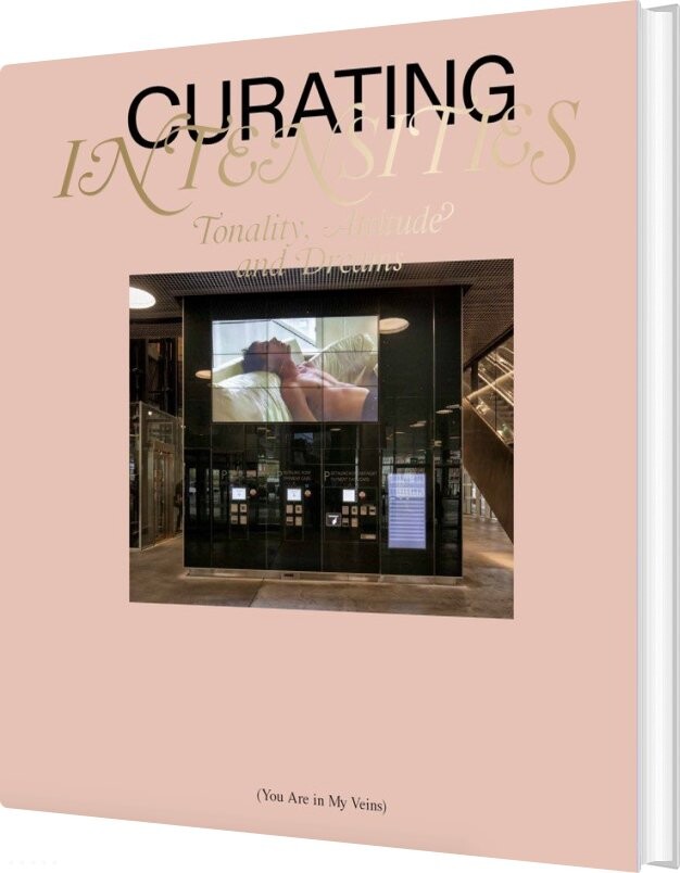 Curating Intensities - Charlotte Sprogøe - Bog