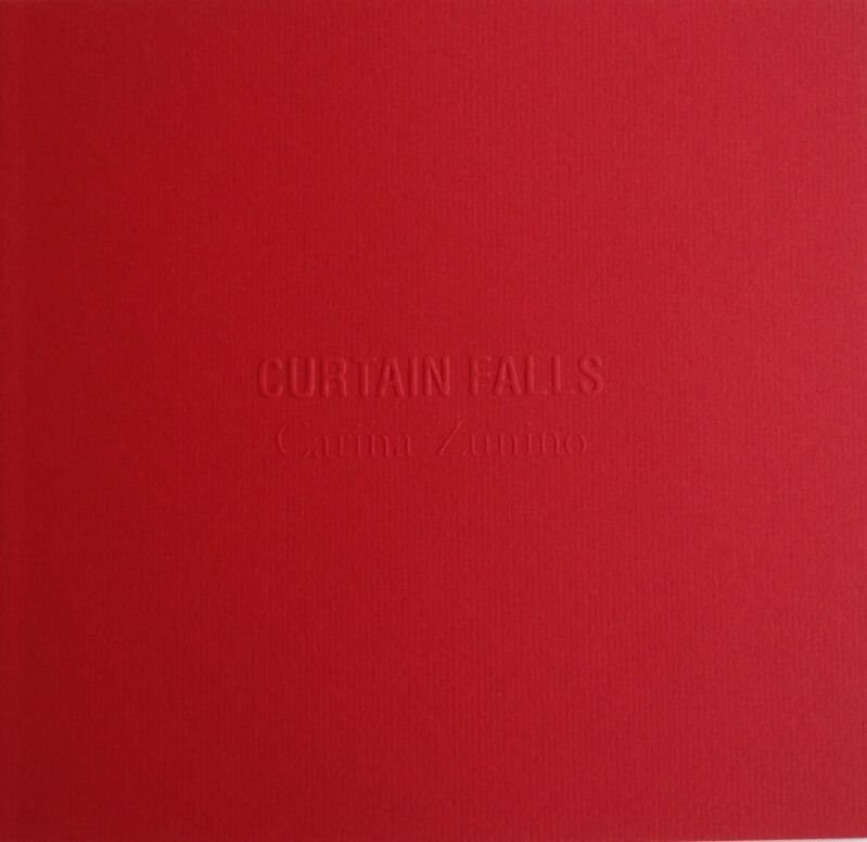 Billede af Curtain Falls - Carina Zunino - English Book