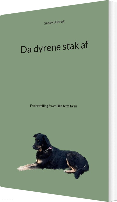 Billede af Da Dyrene Stak Af - Sandy Bunnag - Bog