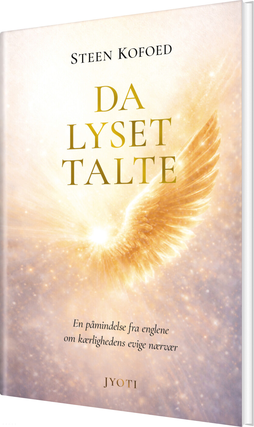 Da Lyset Talte - Steen Kofoed - Bog