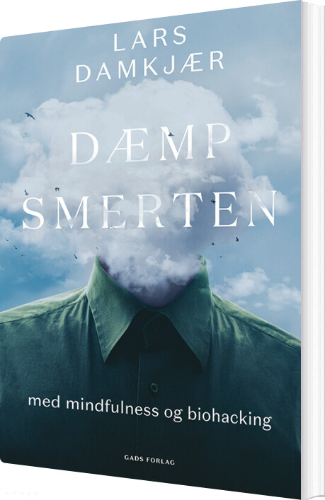 Dæmp Smerten - Lars Damkjær - Bog