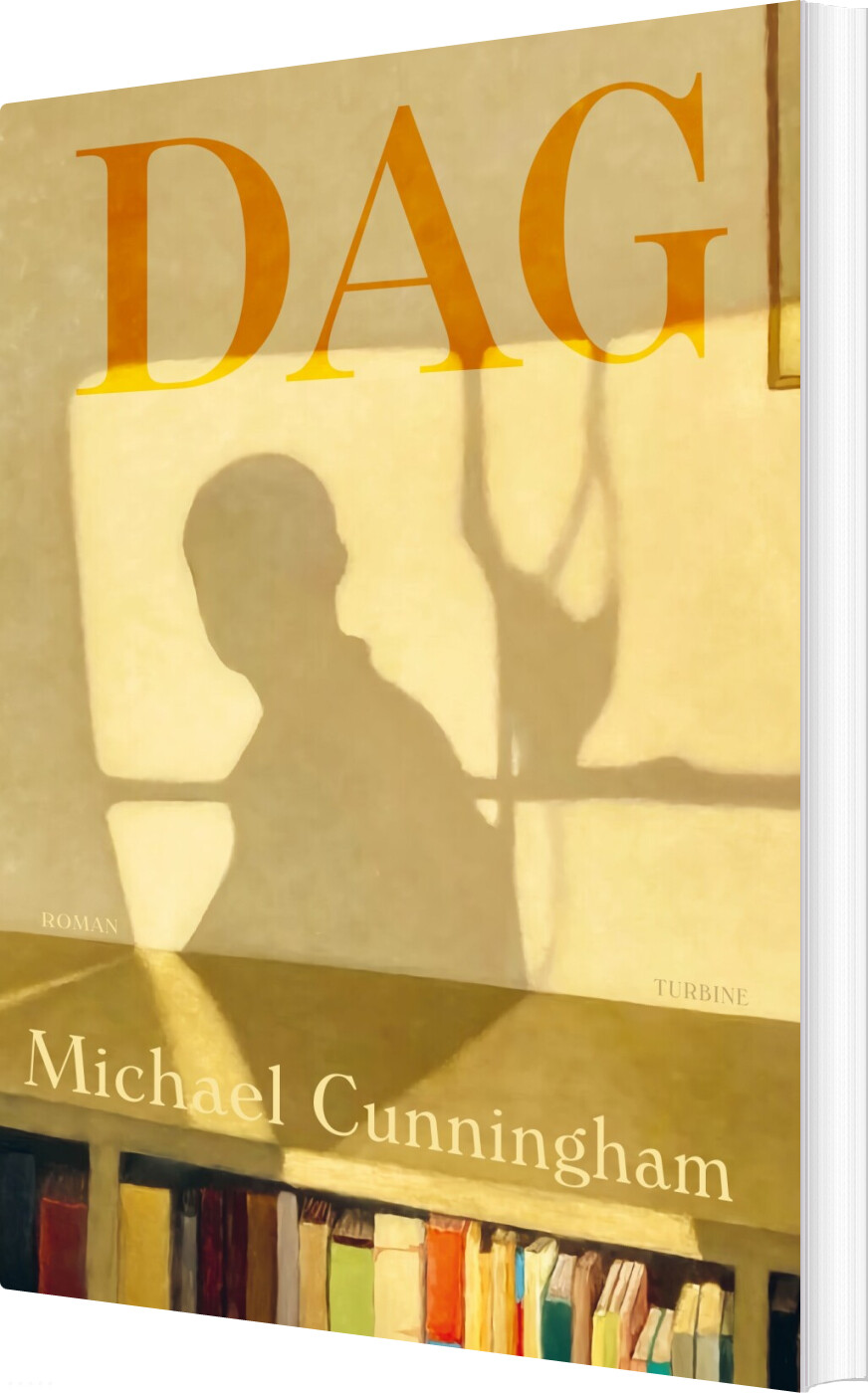 Billede af Dag - Michael Cunningham - Bog