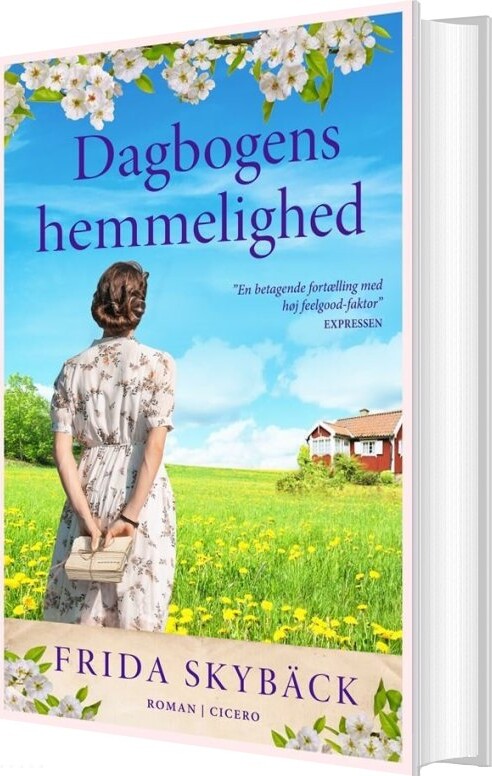 Billede af Dagbogens Hemmelighed - Frida Skybäck - Bog