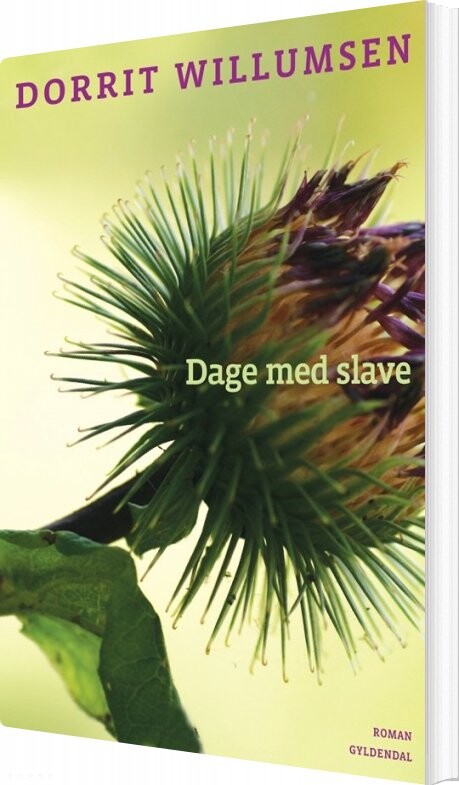 Billede af Dage Med Slave - Dorrit Willumsen - Bog