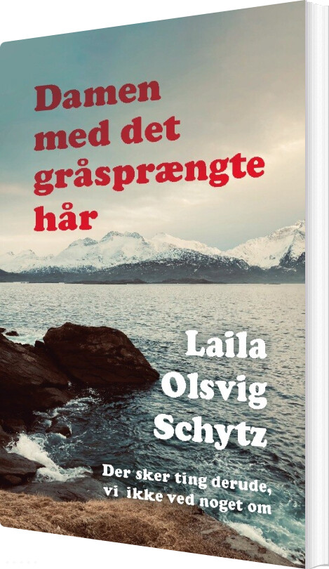 Billede af Damen Med Det Gråsprængte Hår - Laila Olsvig Schytz - Bog