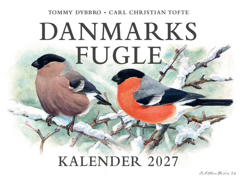 Danmarks fugle - kalender 2027 | Carl Christian Tofte, Tommy Dybbro