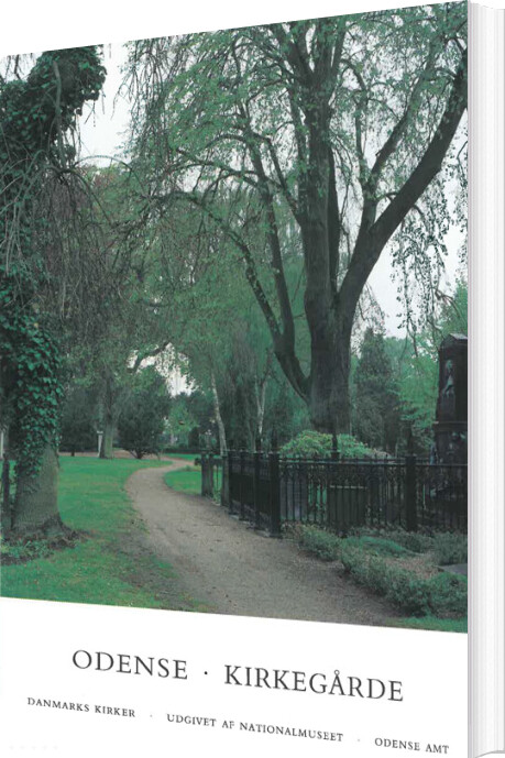 Danmarks Kirker. Odense Amt. Kirkegårde I Odense - Karin Kryger - Bog