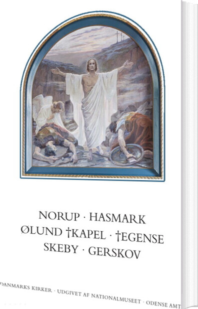 Danmarks Kirker. Odense Amt. Kirkerne I Norup, Hasmark, ølund Kapel, Egense, Skeby, Gerskov - Martin Wangsgaard Jürgensen - Bog