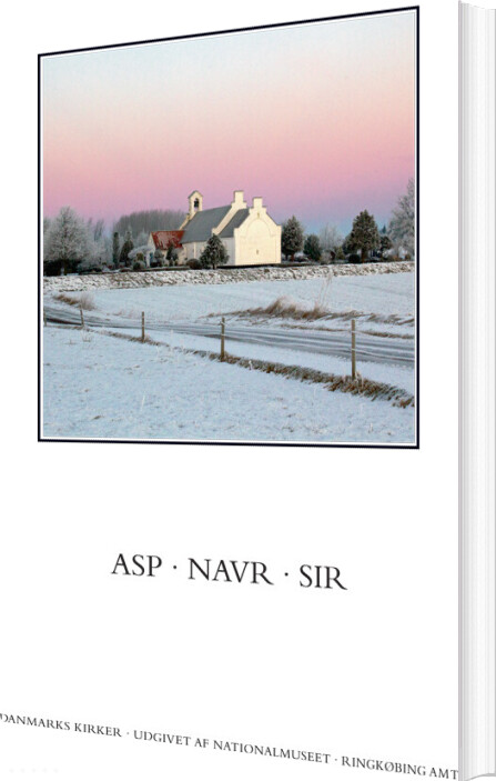 Danmarks Kirker. Ringkøbing Amt. Kirkerne I Asp, Navr, Sir - Birgitte Bøggild Johannsen - Bog