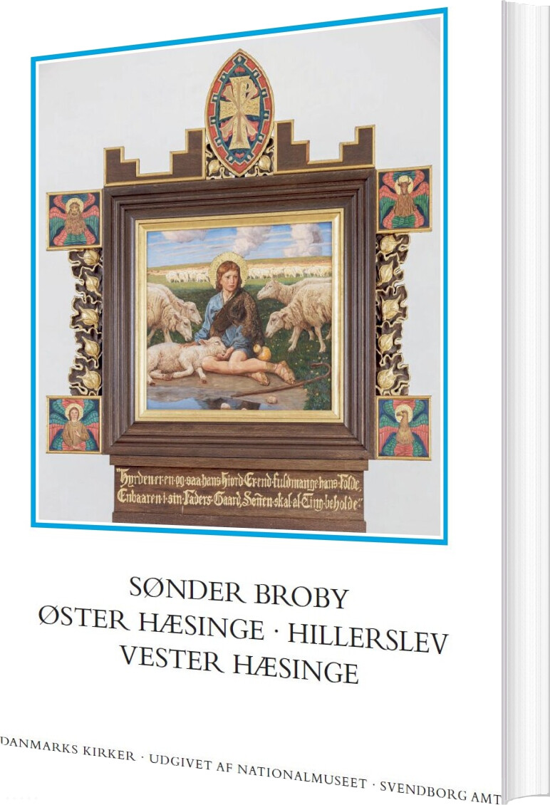 Danmarks Kirker: Svendborg Amt, Hft. 37-39 - Bog