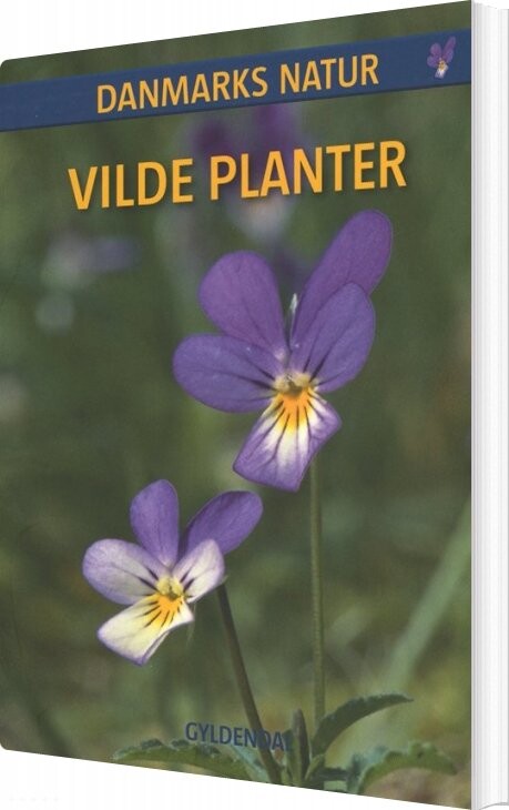 Danmarks Natur Vilde Planter - Dorte Rhode Nissen - Bog