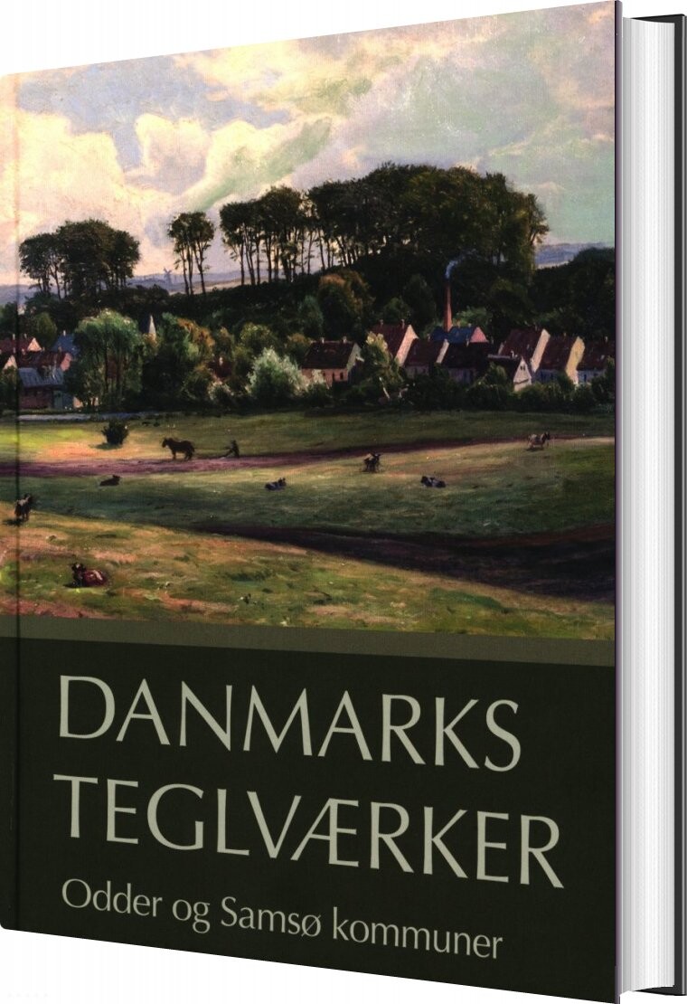 Billede af Danmarks Teglværker Odder Og Samsø Kommuner - Verner Bjerge - Bog