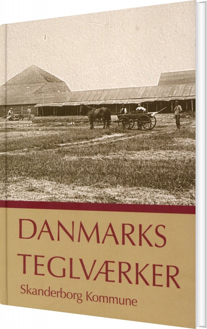 Billede af Danmarks Teglværker - Skanderborg Kommune - Verner Bjerge - Bog
