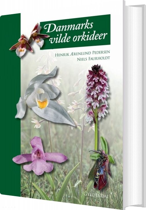 Billede af Danmarks Vilde Orkideer - Niels Faurholdt - Bog