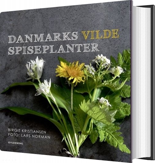 Billede af Danmarks Vilde Spiseplanter - Birgit Kristiansen - Bog