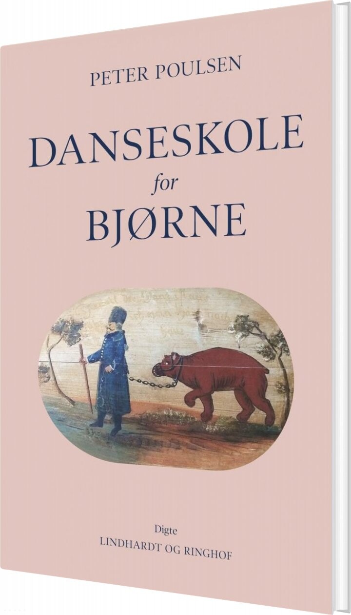 Billede af Danseskole For Bjørne - Peter Poulsen - Bog