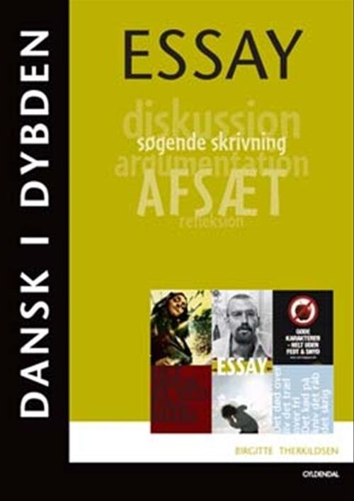 Billede af Dansk I Dybden - Essay - Birgitte Therkildsen - Bog