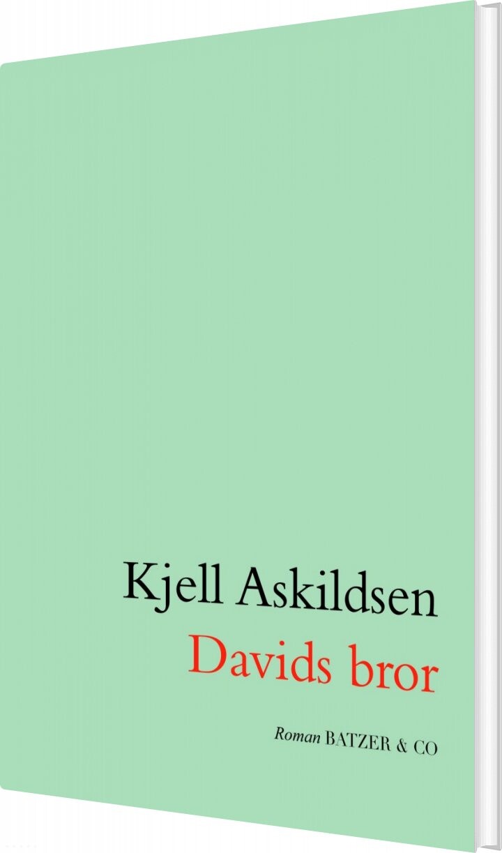 Billede af Davids Bror - Kjell Askildsen - Bog