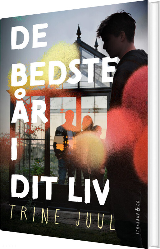De Bedste år I Dit Liv - Trine Juul - Bog