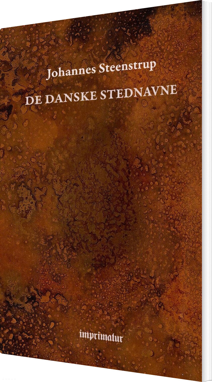 De Danske Stednavne - Johannes Steenstrup - Bog