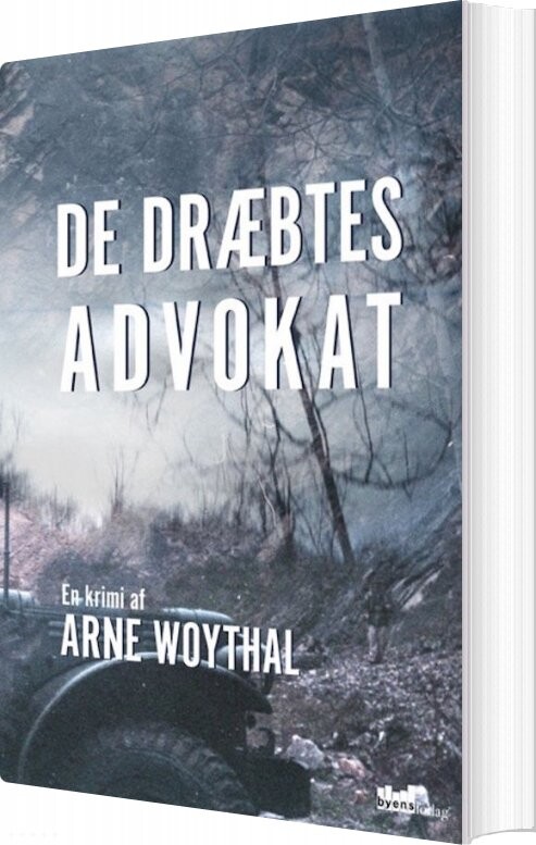 De Dræbtes Advokat - Arne Woythal - Bog