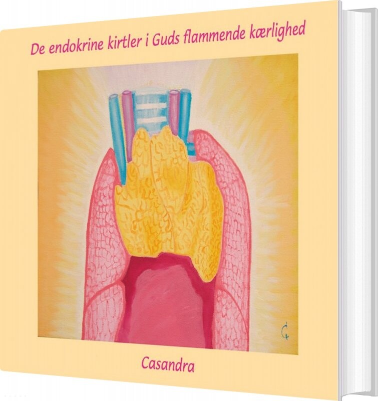 Billede af De Endokrine Kirtler I Guds Flammende Kærlighed - Casandra - Bog