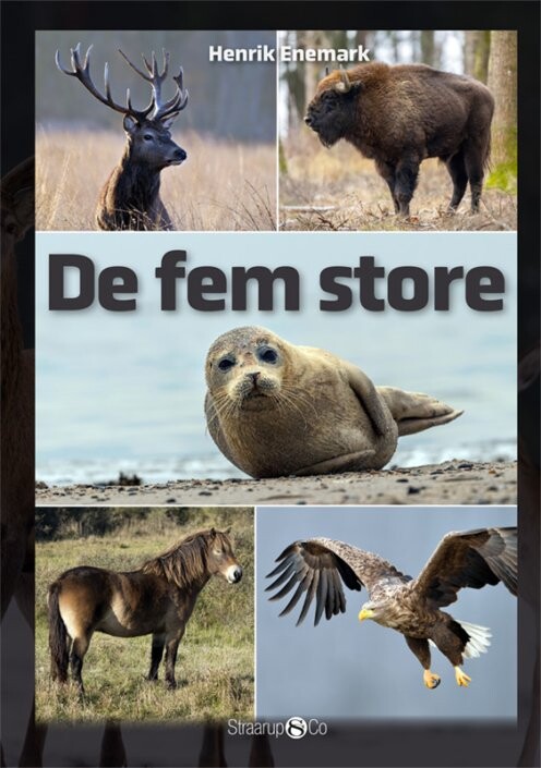 De Fem Store - Henrik Enemark - Bog - Straarup & Co