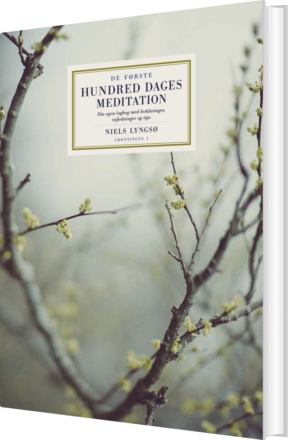 De Første Hundred Dages Meditation - Niels Lyngsø - Bog