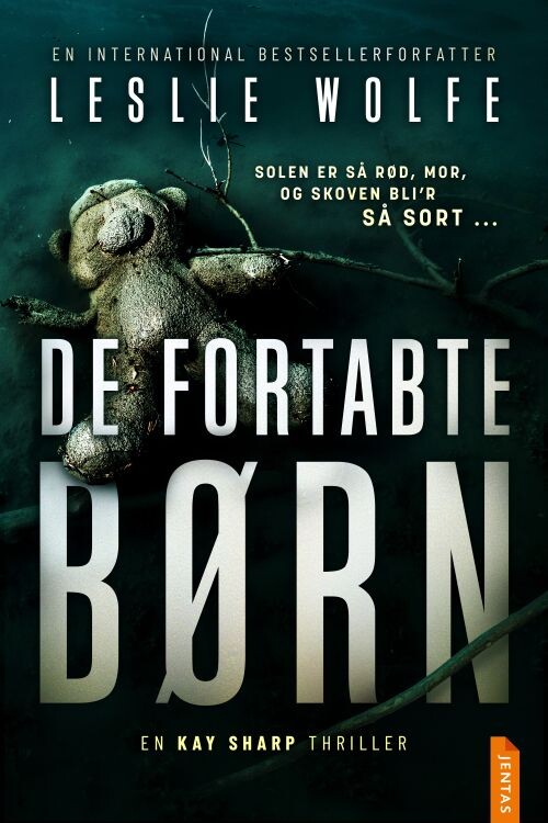 De Fortabte Børn - Leslie Wolfe - Bog