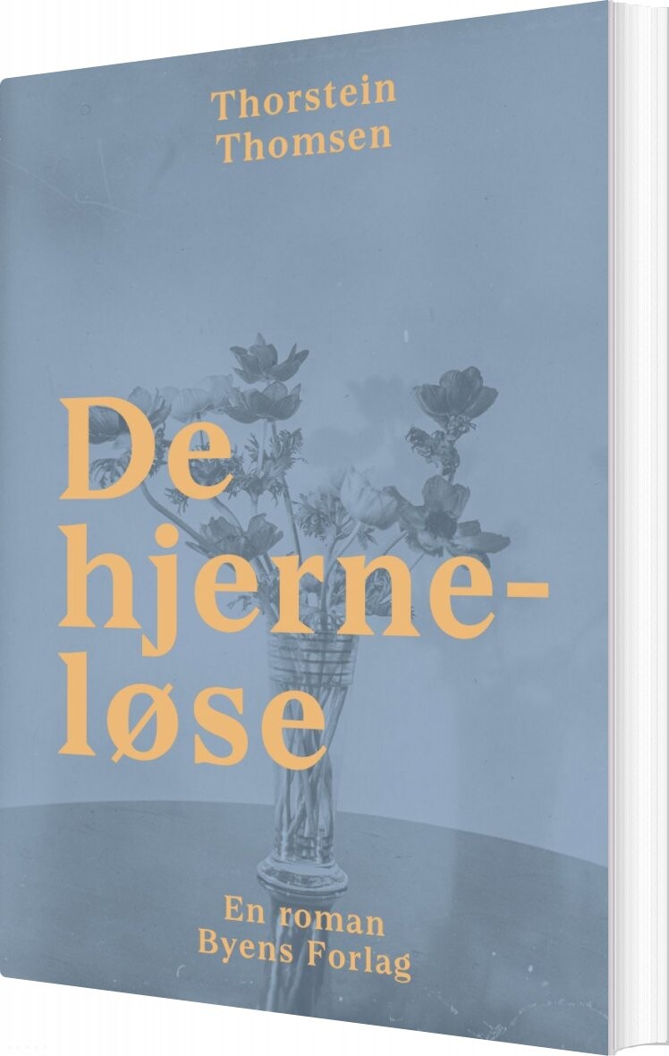 Billede af De Hjerneløse - Thorstein Thomsen - Bog