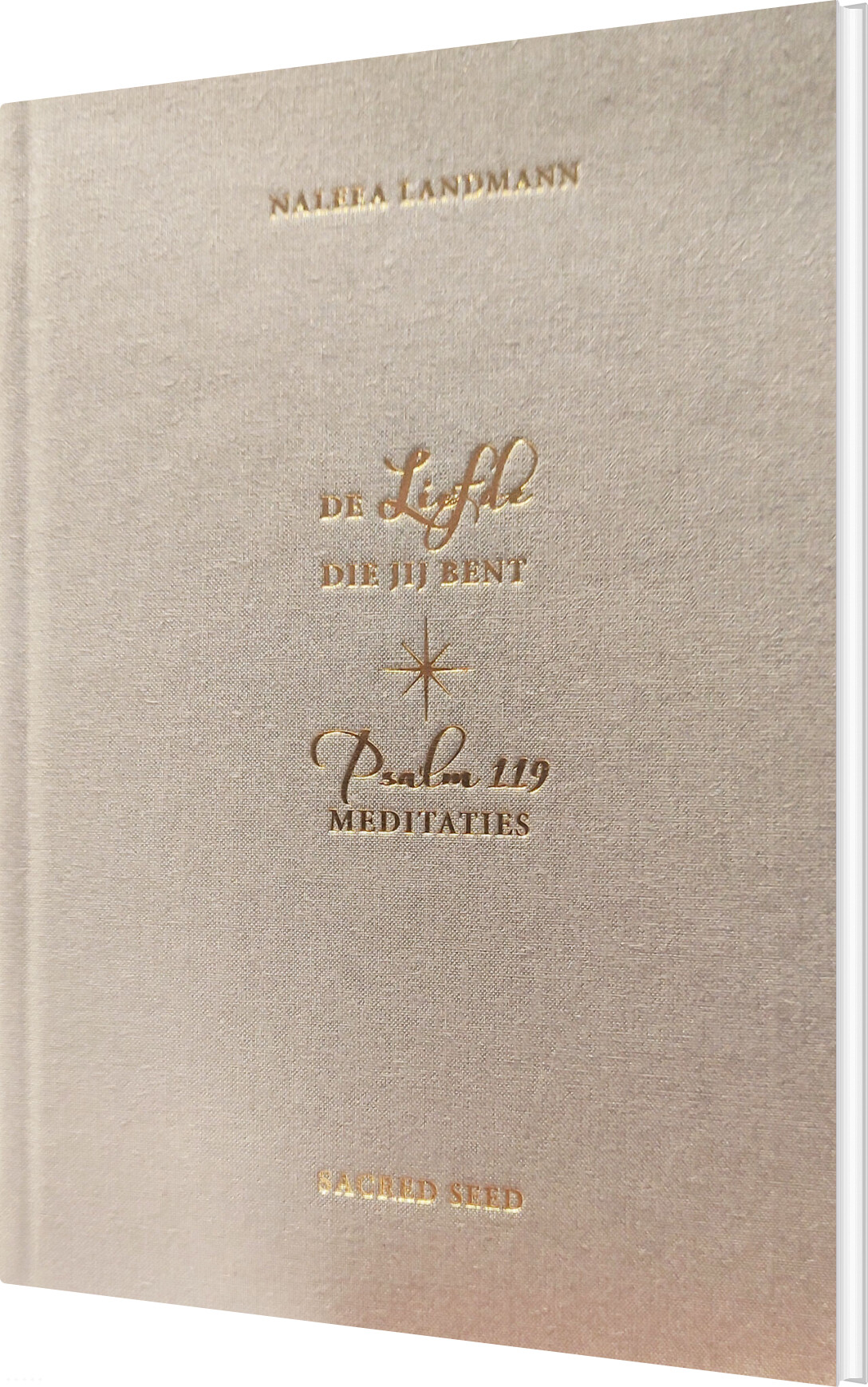 De Liefde Die Jij Bent - Naleea Landmann - Bog