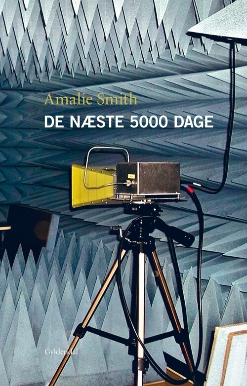 Billede af De Næste 5000 Dage - Amalie Smith - Bog