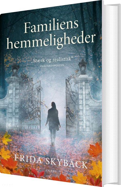 Billede af Familiens Hemmeligheder - Frida Skybäck - Bog