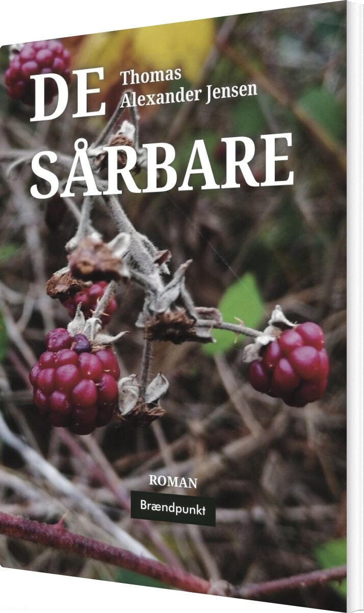 Billede af De Sårbare - Thomas Alexander Jensen - Bog