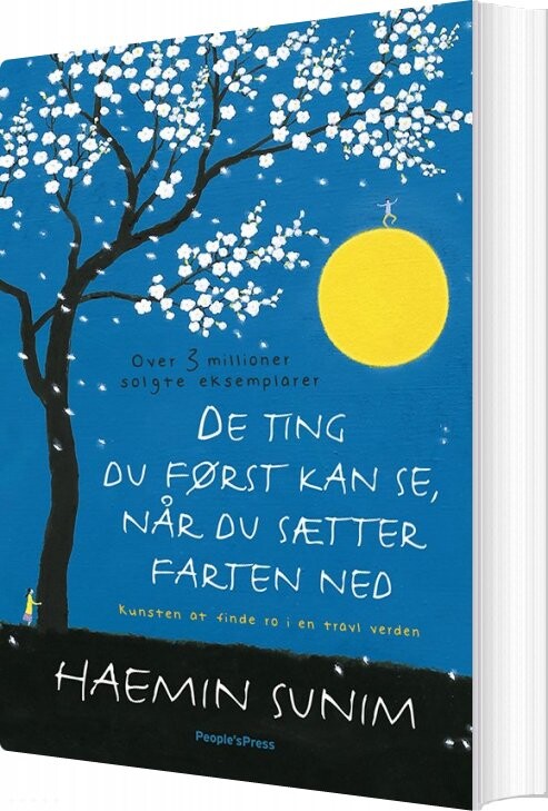 De Ting Du Kun Kan Se, Når Du Sætter Farten Ned - Haemin Sunim - Bog