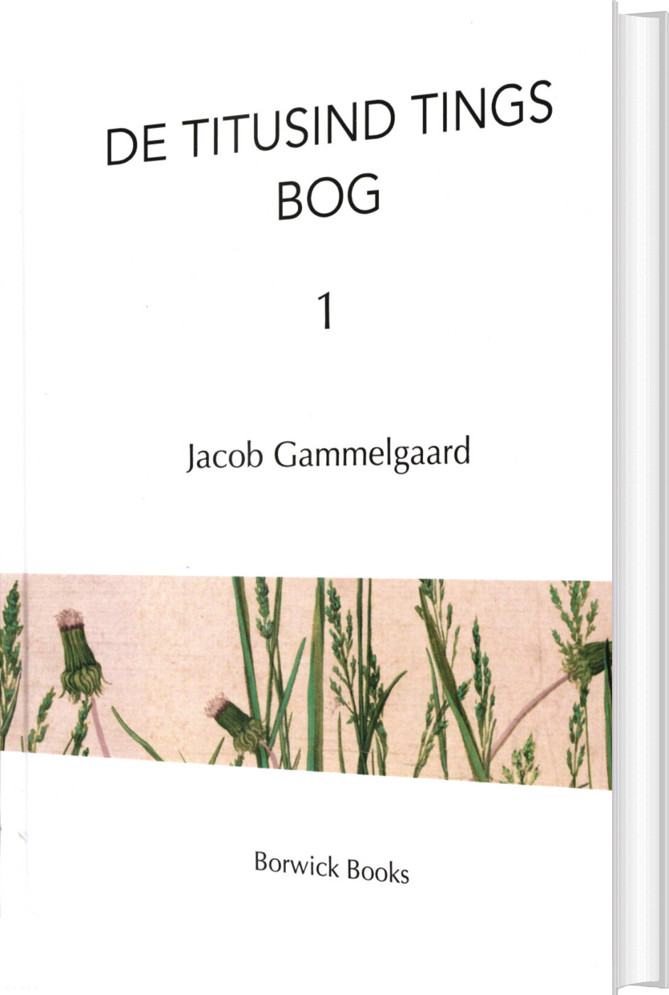 Billede af De Titusind Tings Bog - Jacob Gammelgaard - Bog