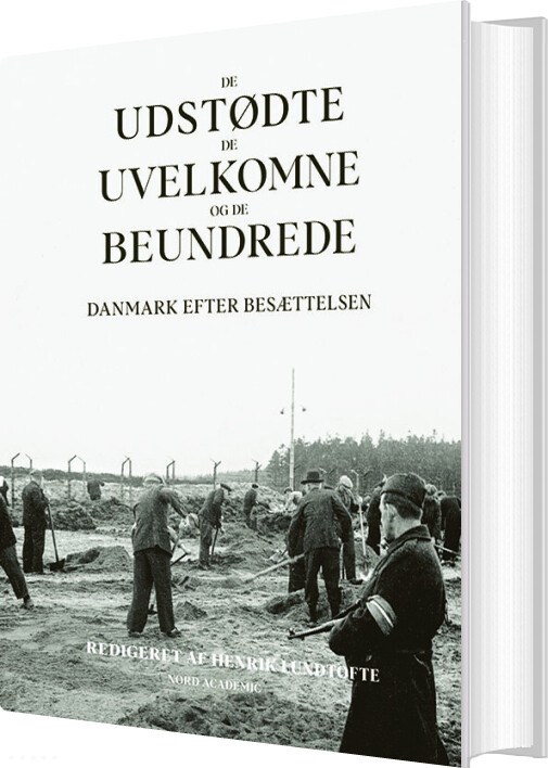 De Udstødte, De Uvelkomne Og De Beundrede - Henrik Lundtofte - Bog
